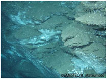 上越沖の海底に露出するメタンハイドレート（出典：明治大学 ガスハイドレート研究所　ウエブサイト）