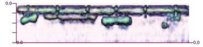 断面画像(側面からの透視画像)