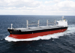 56,000 DWT Type Bulk Carrier MV "FORTUNE BIRD"