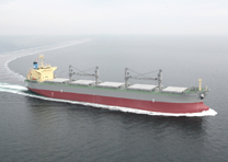 56,000 DWT Type Bulk Carrier M.V. "PYTHAGORAS"