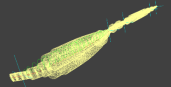 Shaft vibration analysis