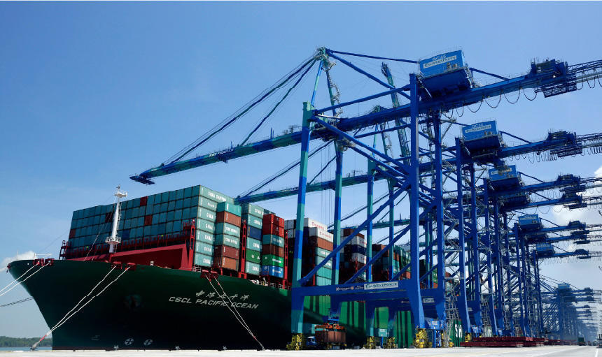 Portainer® (Quayside Container Crane)